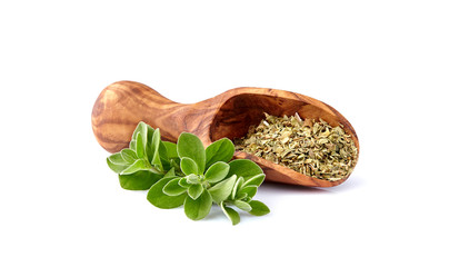 Oregano or marjoram leaves isolated on white background. Oregano fresh and dry.