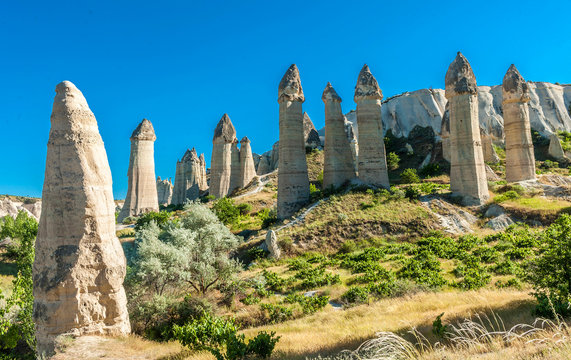 Turkey, Goreme National Park and the rock sites of Cappadocia, Love Valley (or white valley) with hoodoos in phallic shape (UNESCO World Heritage)