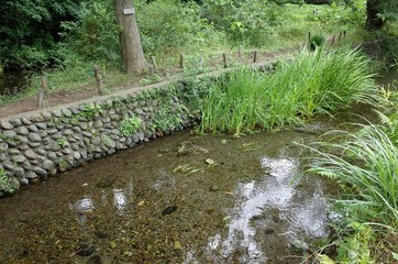 Obraz premium 水辺