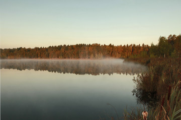 Russian forest. Morning fishing. Fog. Fascinating landscapes of the morning forest.
