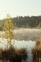Fototapeta na wymiar Russian forest. Morning fishing. Fog. Fascinating landscapes of the morning forest.