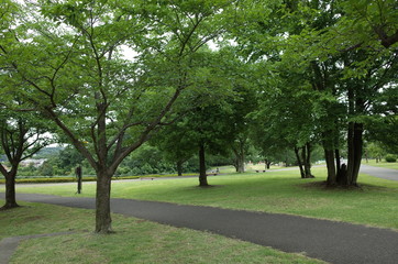 梅雨の公園