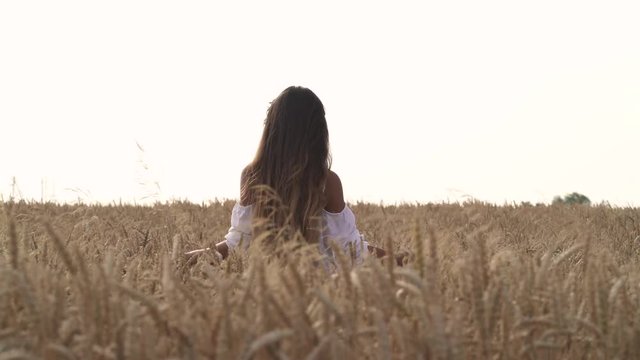 Attractive brunette girl walking in wheat field. Young woman with beautiful hair in the field on daylight.