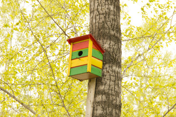 A bright colorful birdhouse attached to a tree on which green leaves.
