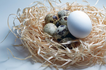 chicken egg and quail eggs in a nest of hay