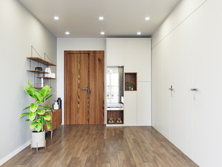modern entrance interior design.