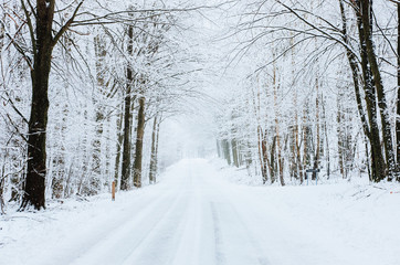 Naklejka premium snowy road in winter forest