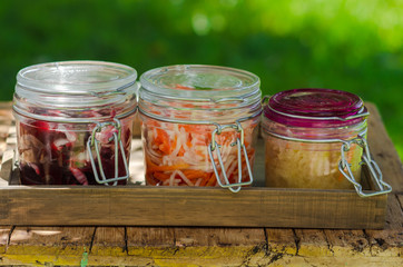 Traditional fermented foods -  sauerkraut, kimchi with carrot, beet, brassica rapa  for  health  and disease prevention. 