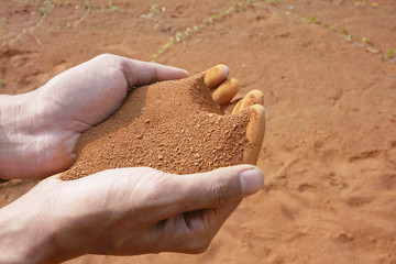 Hand man holding red soil dust on the blur background 