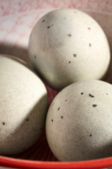 Two unpeeled preserved duck eggs, sometimes called century eggs, thousand year old eggs, or melinial eggs.