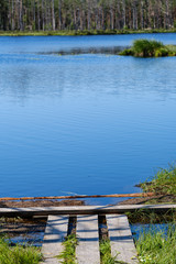 Obraz premium calm summer day evening by the forest lake in forest