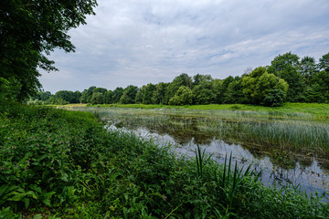 country river in green forest. drone aerial image