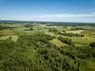 Obraz premium endless green forest from drone aerial image in summer