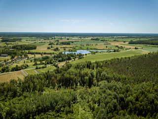 Fototapeta na wymiar endless green forest from drone aerial image in summer