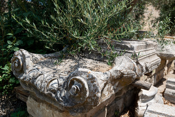 Bruchstücke von Säule und Olivenbaum Zweig auf Kreta in der Mittagssonne