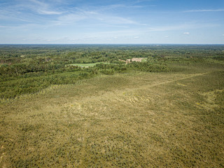 endless green forest from drone aerial image in summer