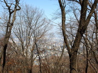 Obraz premium OLYMPUS DIGITAL CAMERA