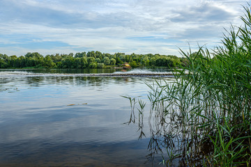 calm summer day evening by the forest lake in forest