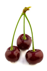 three ripe red cherry berries isolated on white background