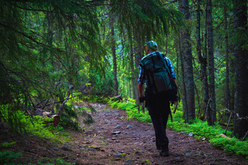 Obraz premium male traveler goes to the mountain through the forest