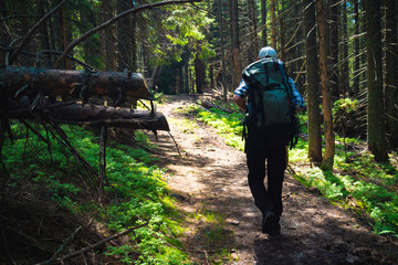 male traveler goes to the mountain through the forest