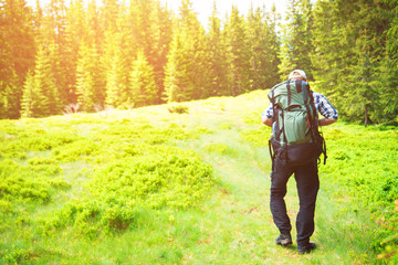 male traveler goes to the mountain through the forest