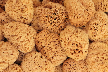Brown natural greek sea sponge