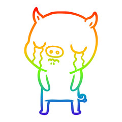 rainbow gradient line drawing cartoon pig crying