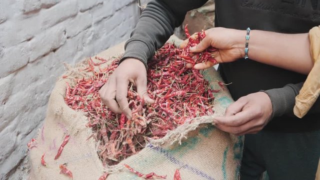 slow motion clip of a buyer and vendor examining dried red chilies at old delhi  in india- 180p