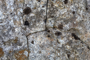 Grayish Old Weathered Cracked Natural Stone Texture