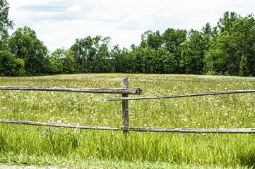 Beyond the fence