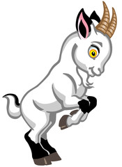 cartoon little white goat rearing up .Side view isolated vector illustration for babies and little kids
