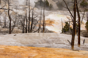 Beautiful landscape of Mammoth Hot spring, Yellowstone National Park