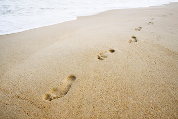 Footprints on the sandy beach of the sea