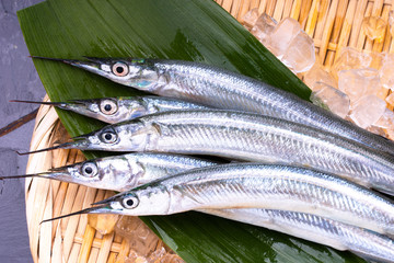 さより © promolink