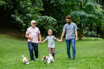 Obraz premium Happy family of father grandfather and son with Jack russel terrier dog having fun, laughing, running, walking together in park. three different generation concept.