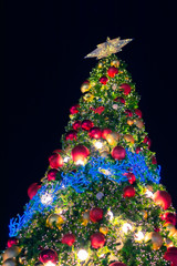 Christmas tree background