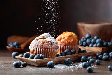 Muffins and blueberries sprinkled with powdered sugar.