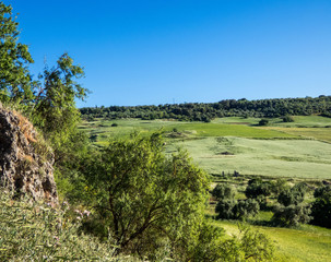 Fototapeta na wymiar Countryside surrounding Ronda, Andalusia, Spain