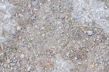 abstract background of old uncleared cement walkway in the garden