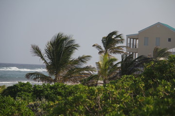 tropical island summer beach sun and sand