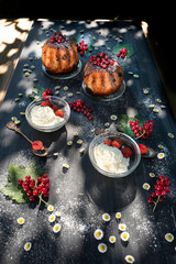 Fresh red currants and rum baba with cream and chocolate in the country