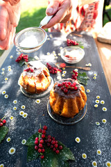Fresh red currants and rum baba with cream and chocolate in the country