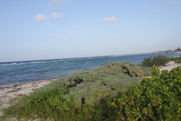 tropical island summer beach sun