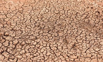 Naklejka premium Background, dry soil surface cracked