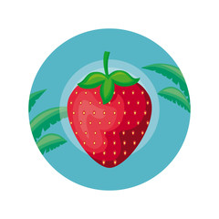 strawberry in frame circular with leafs tropicals