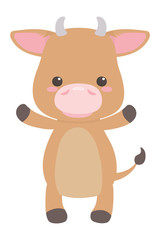 Bull cartoon design vector illustrator