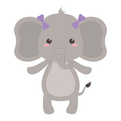 Elephant cartoon design vector illustrator