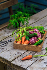 fresh organic vegetables in wood basket on wooden floor with copy space. concept vegetables fresh from the farm