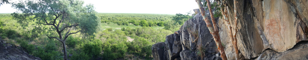 Obraz premium Panorama from Chobe National Park